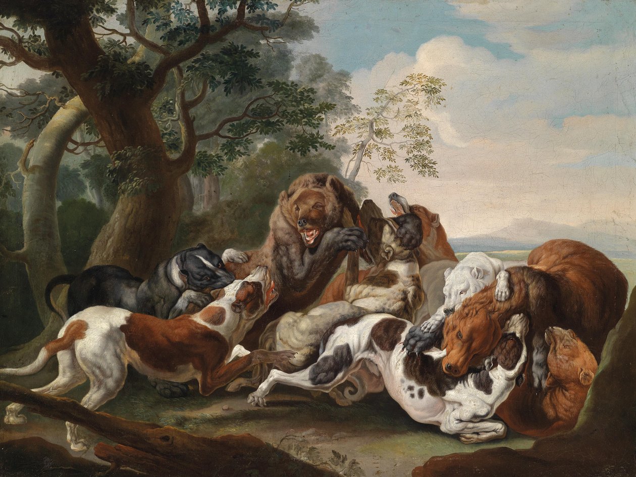 Colheita de Urso, óleo sobre tela, 69 x 92 cm de Carl Borromaus Andreas Ruthart