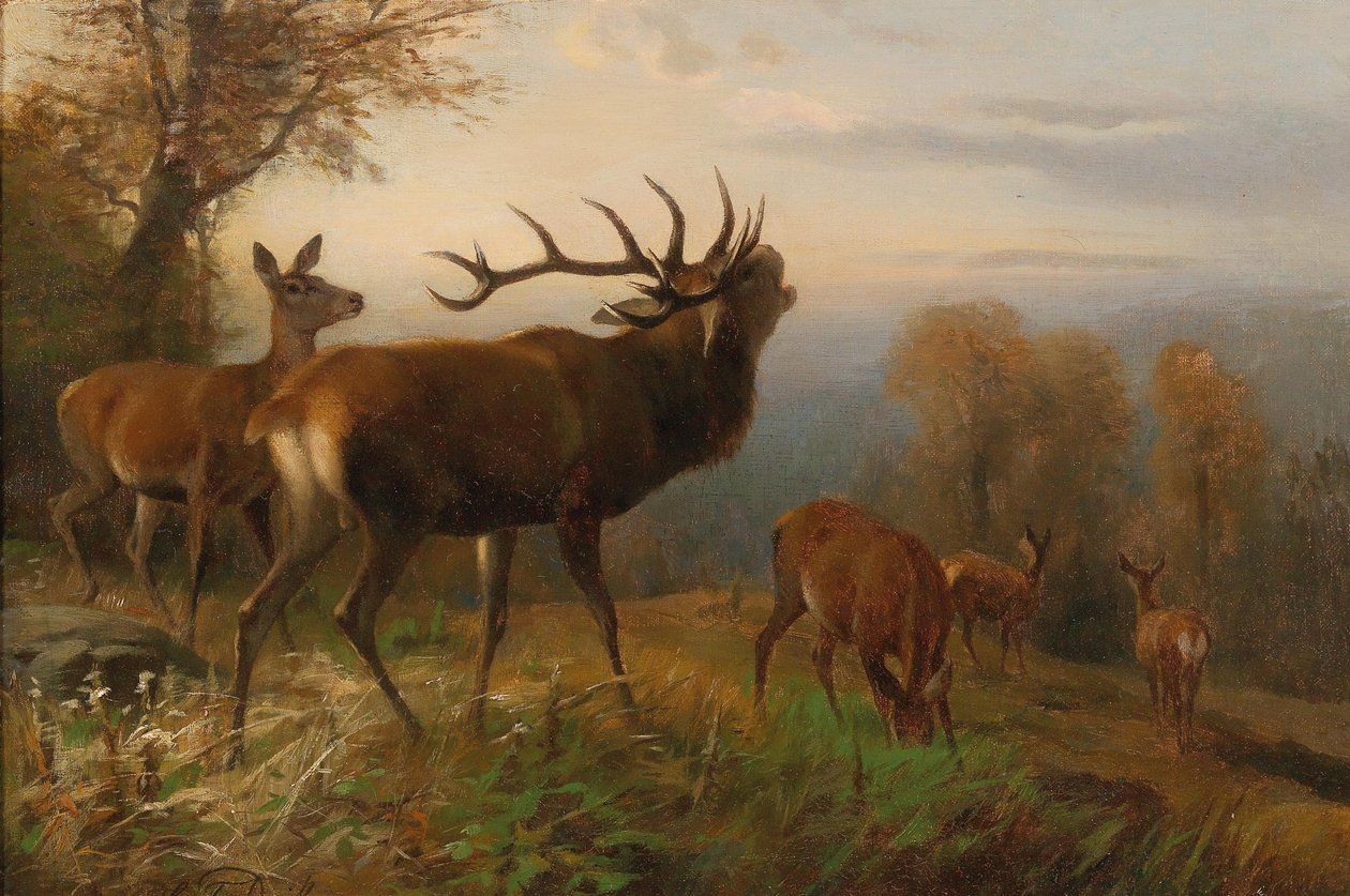 Rebanho de veado vermelho de Carl Friedrich Deiker