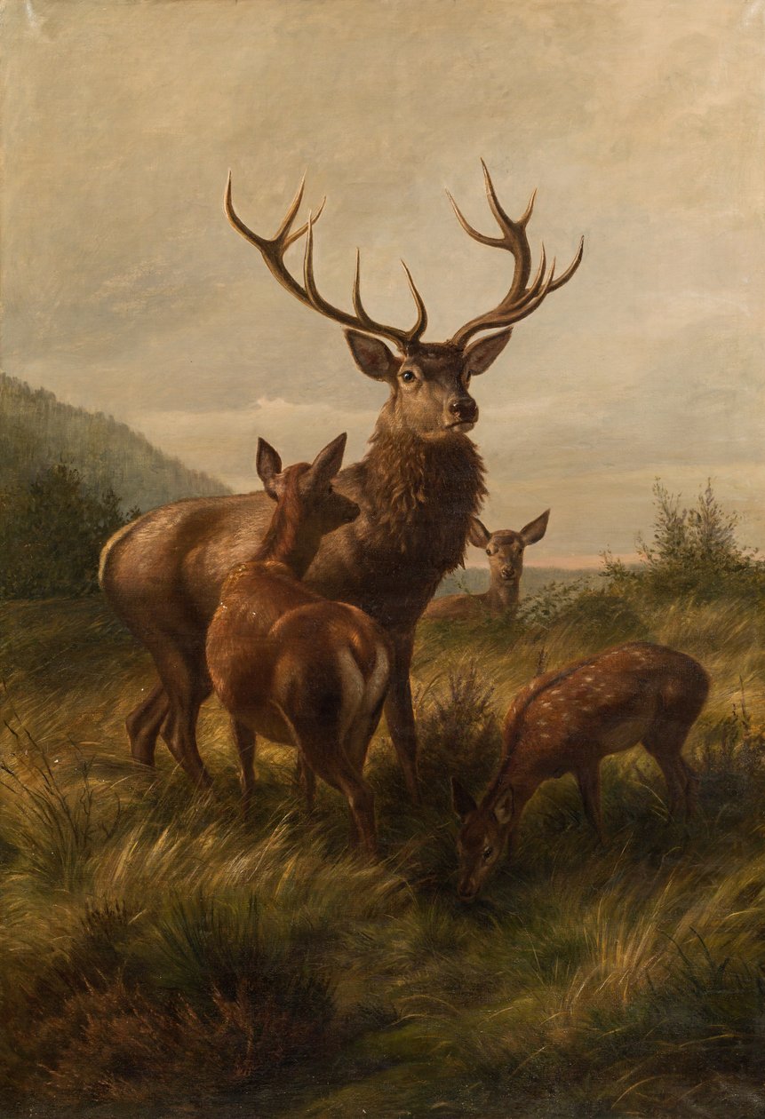 Doze com vacas de veado de Carl Friedrich Deiker