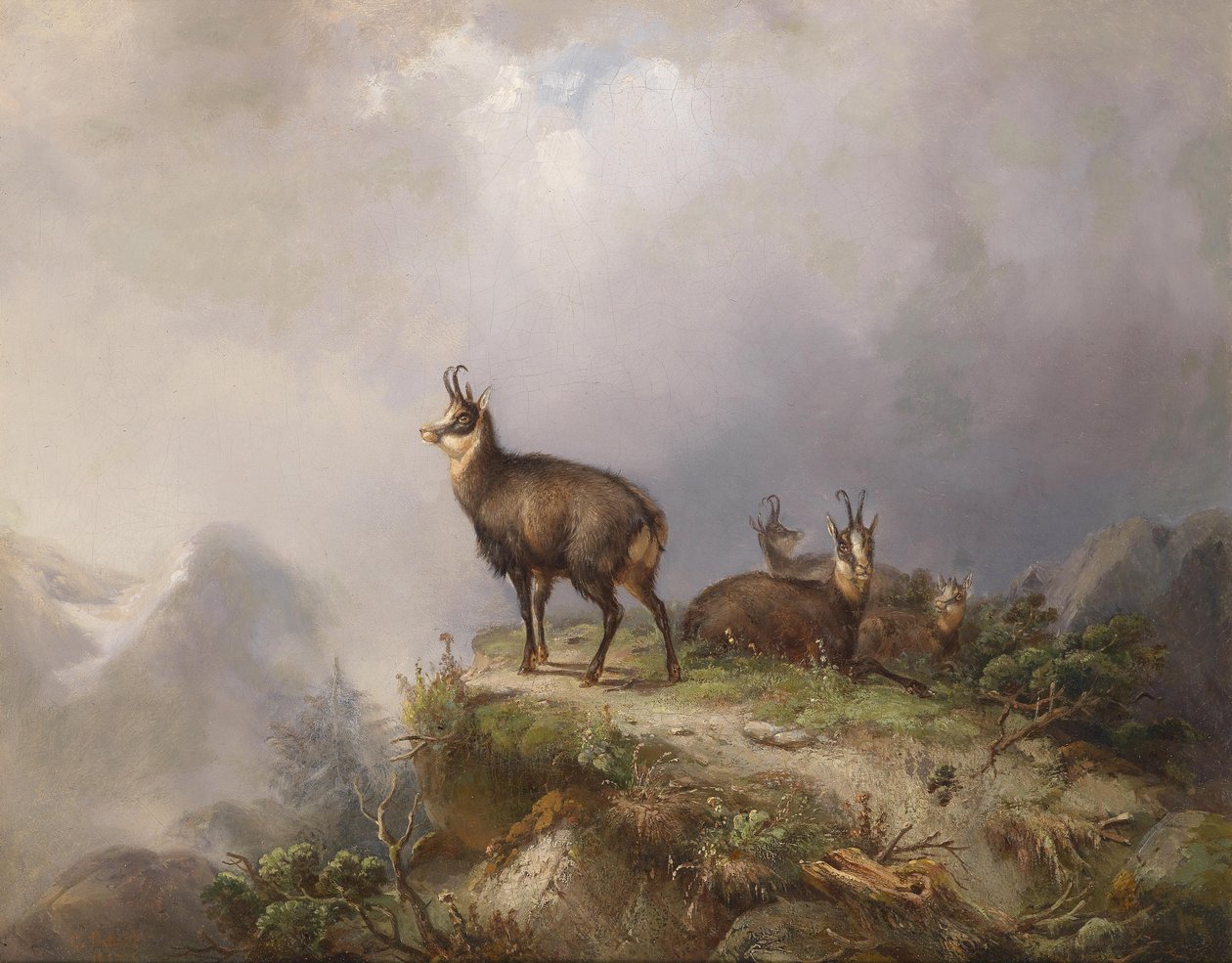 Gamsen de Carl Friedrich Ockert