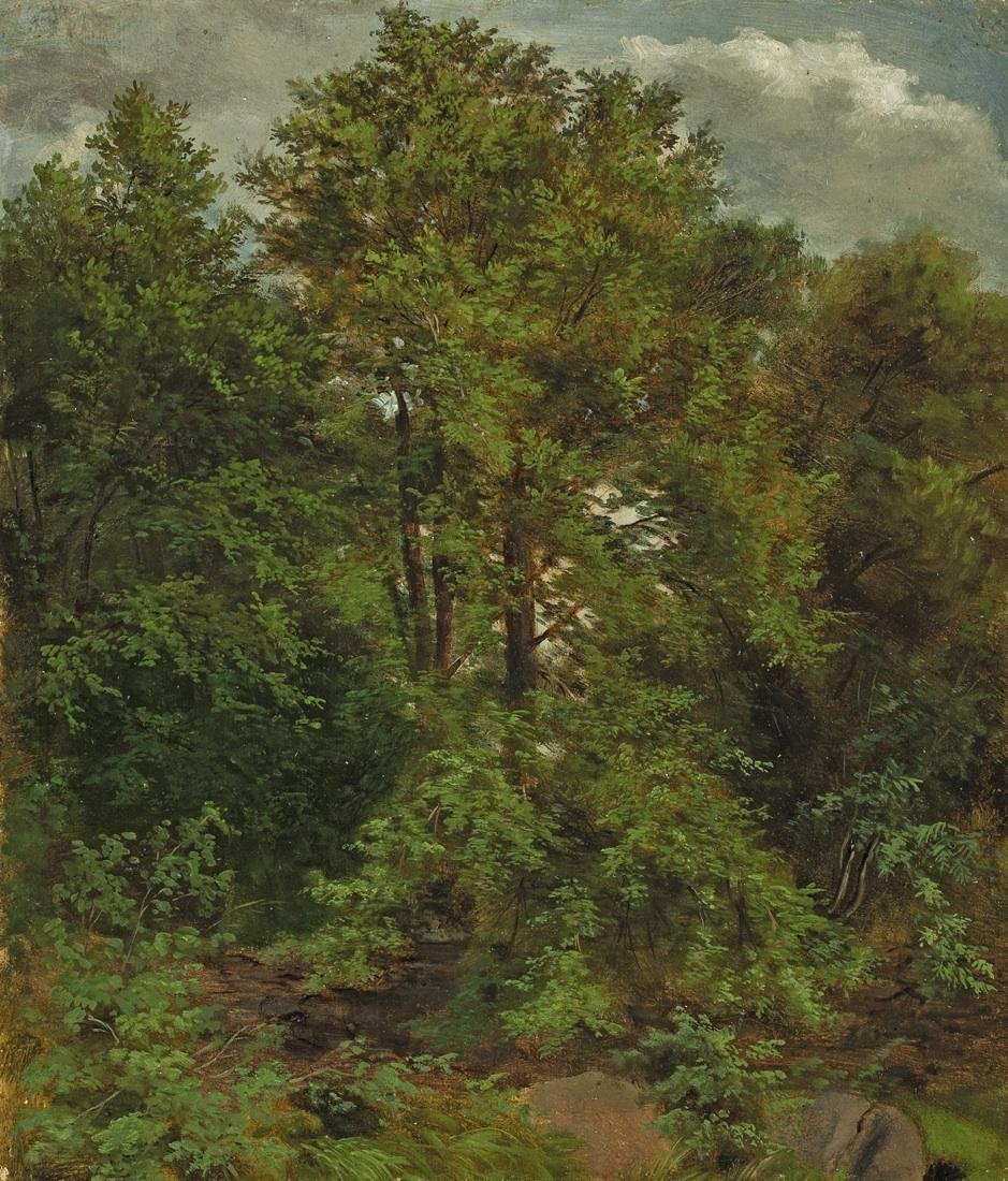 Motivo, de, a, Pillnitz, elbe, ilha de Carl Gustav Carus