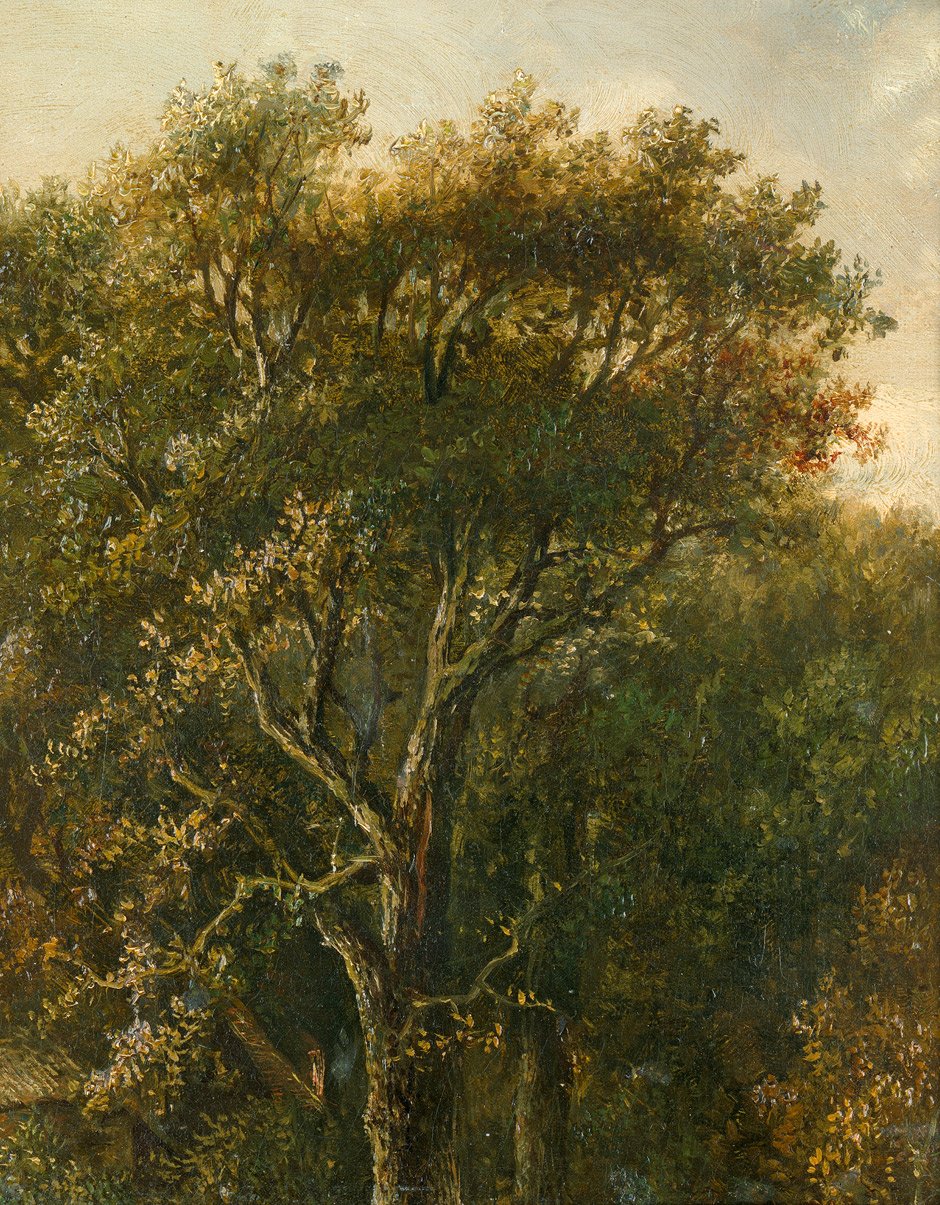 Estuque florestal com carvalho de Carl Gustav Carus