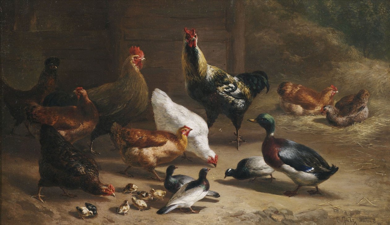 Aves no interior estável de Carl Jutz