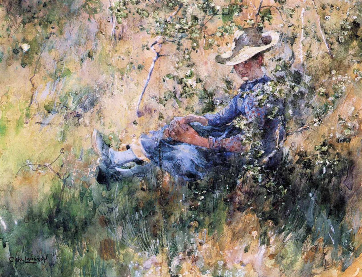 Menina, por, um, florescendo, hawthorn, bush de Carl Larsson