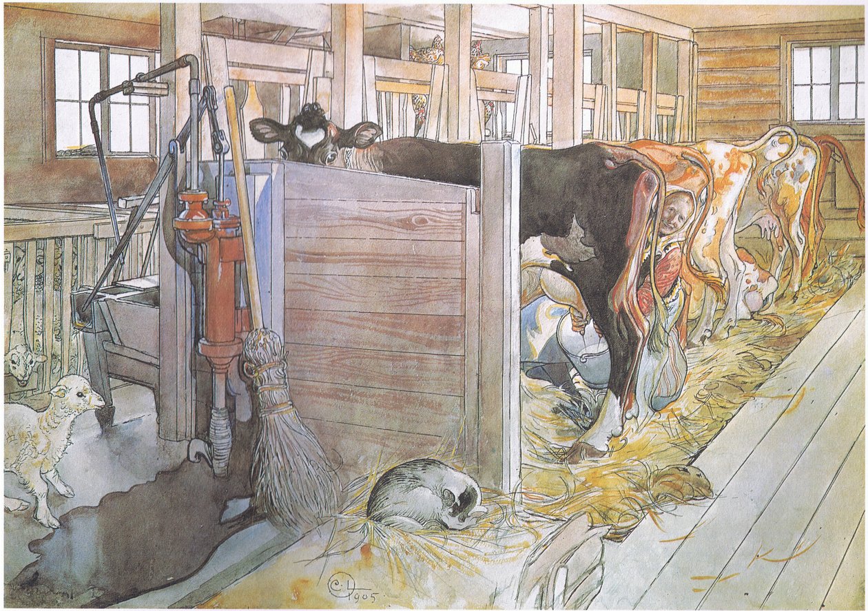 Johana ordenhando as vacas de Carl Larsson