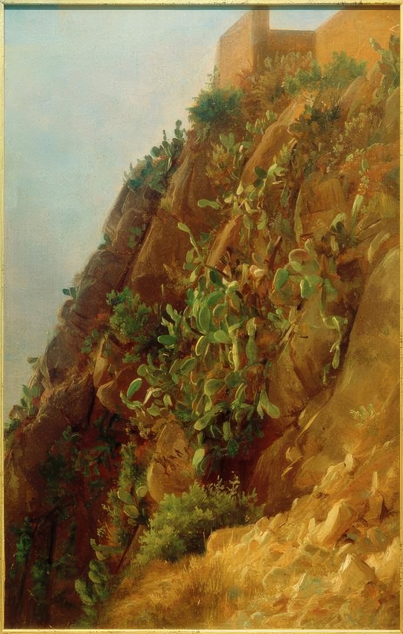 C.Morgenstern, Opuntia na encosta de Capri de Carl Morgenstern