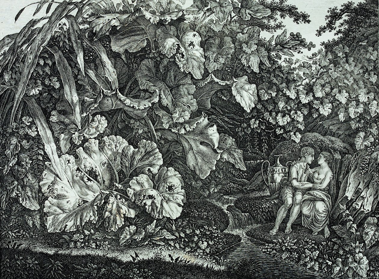 Amantes em uma gruta, cercada por plantas e ervas de Carl Wilhelm Kolbe