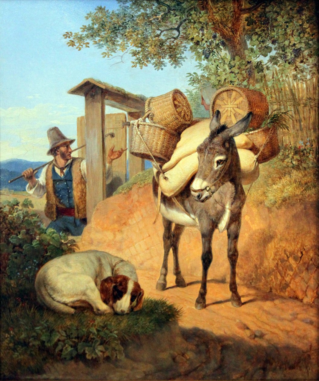 Burro, cão e motorista de Carl Wilhelm von Heideck
