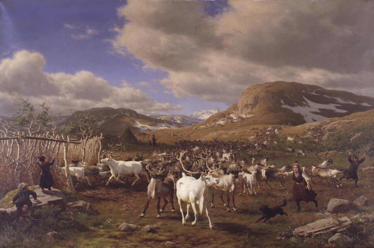 Um rebanho de renas é levado para a sala de ordenha. O motivo das altas montanhas ao norte de Røros de Carl Bøgh
