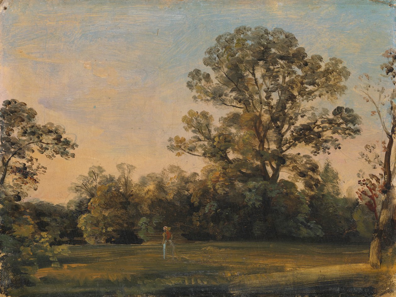 Paisagem florestal com castelo junto à água de Carl Blechen
