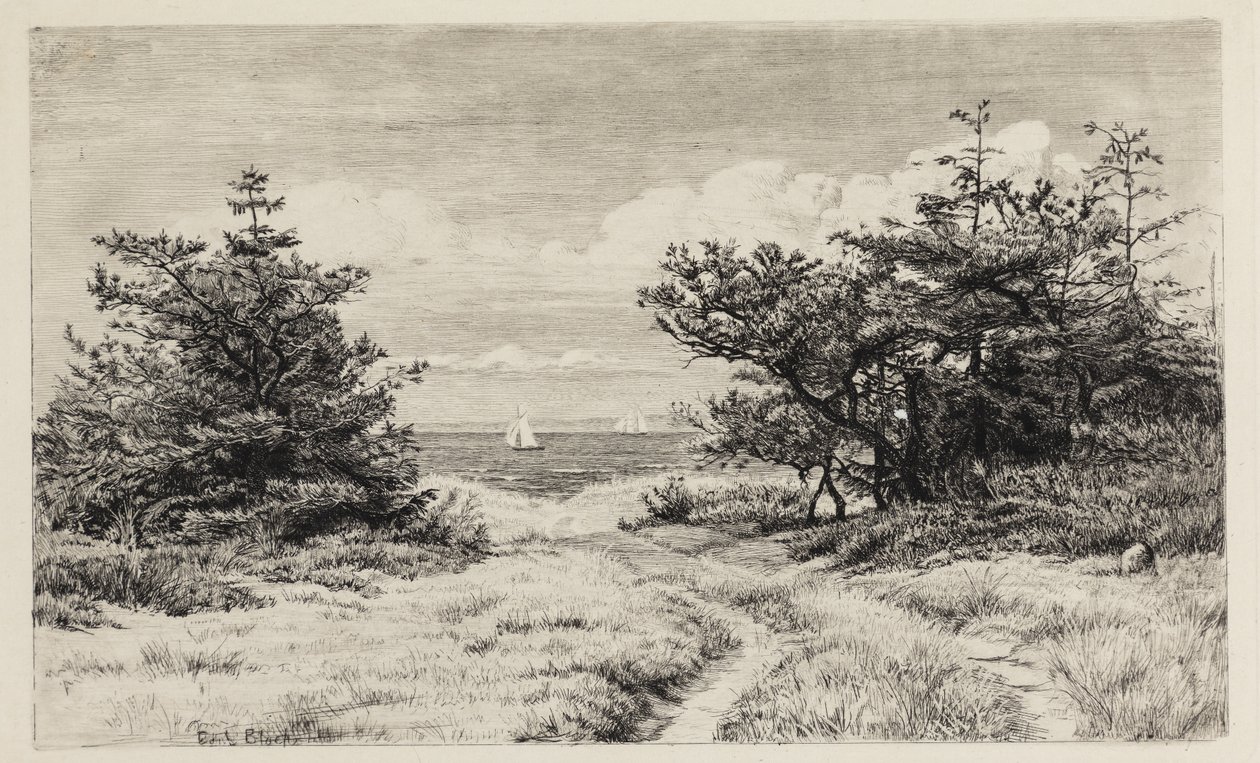 Vista para o mar de Carl Bloch
