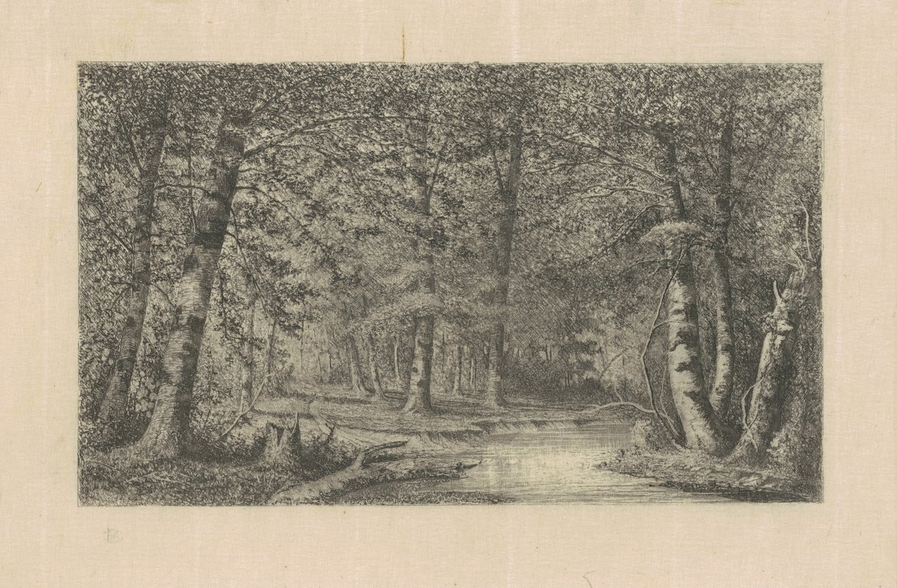Floresta de Faias de Carl C. Brenner