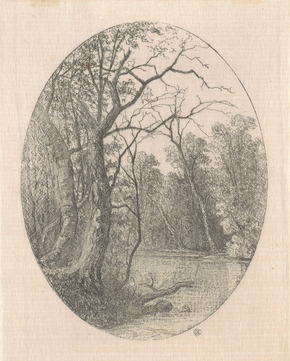Em Laurel Creek de Carl C. Brenner