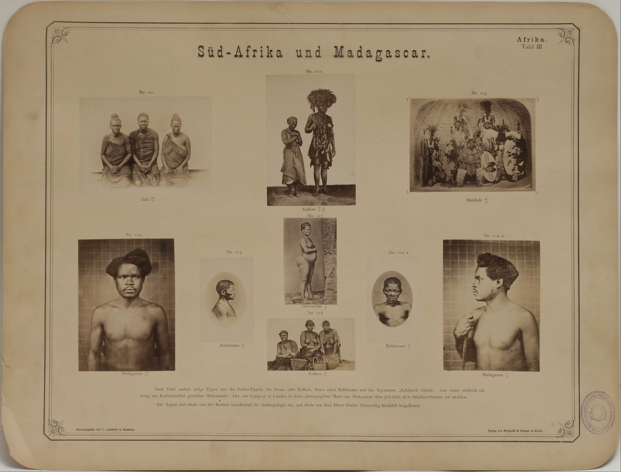 Álbum de Fotografia em Antropologia- Etnologia de Carl Dammann