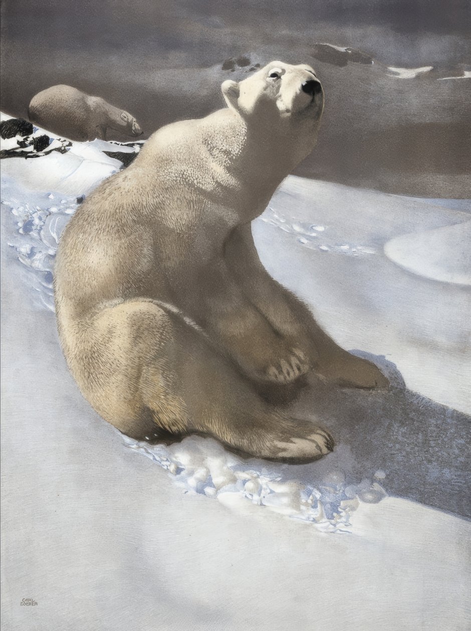 paisagem de Carl Ederer