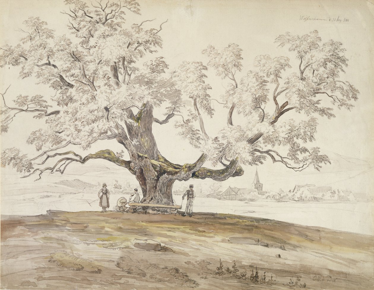 Vista de Wolfershausen bei Meiningen com um velho carvalho, 1844 (grafite e wc no papel) de Carl Ernst Ludwig Wagner