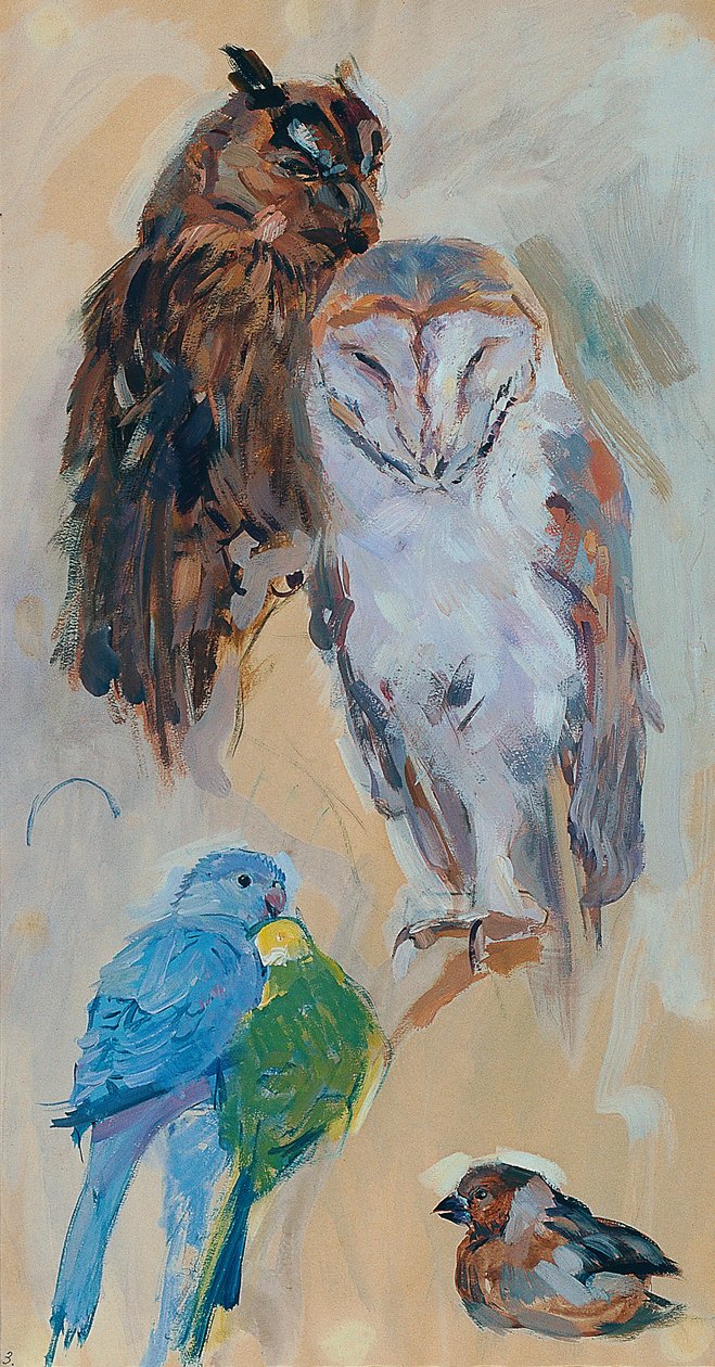 Estudo com animais de Schönbrunn de Carl Fahringer