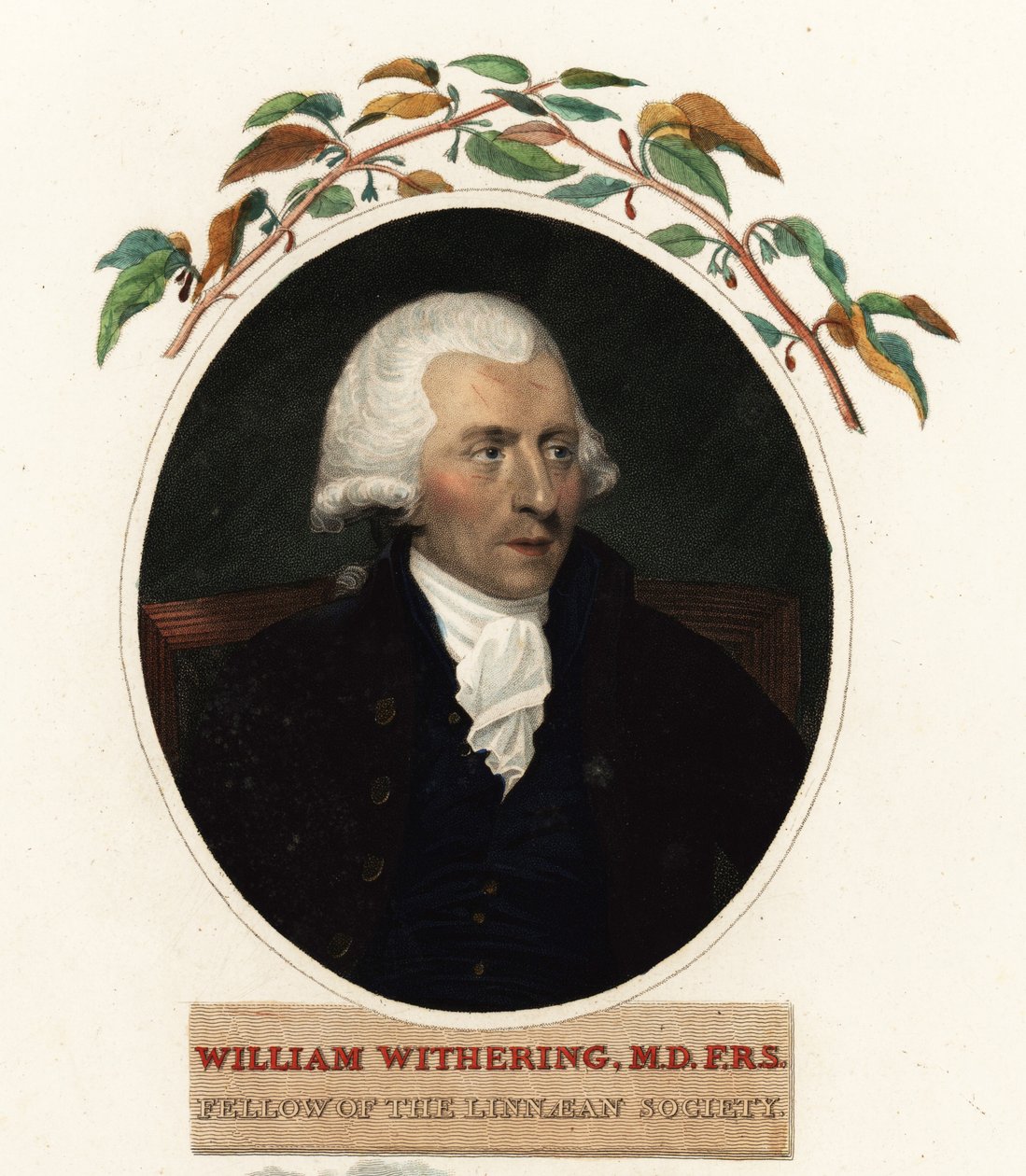 Retrato de William Withering, médico e botânico de Carl Frederik van (after) Breda