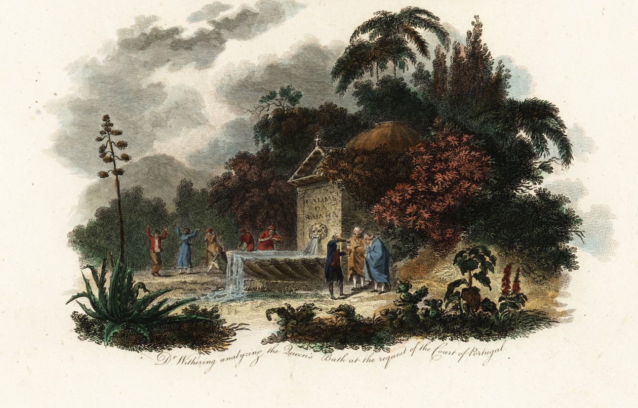 William Withering at Caldas da Rainha de Carl Frederik van (after) Breda
