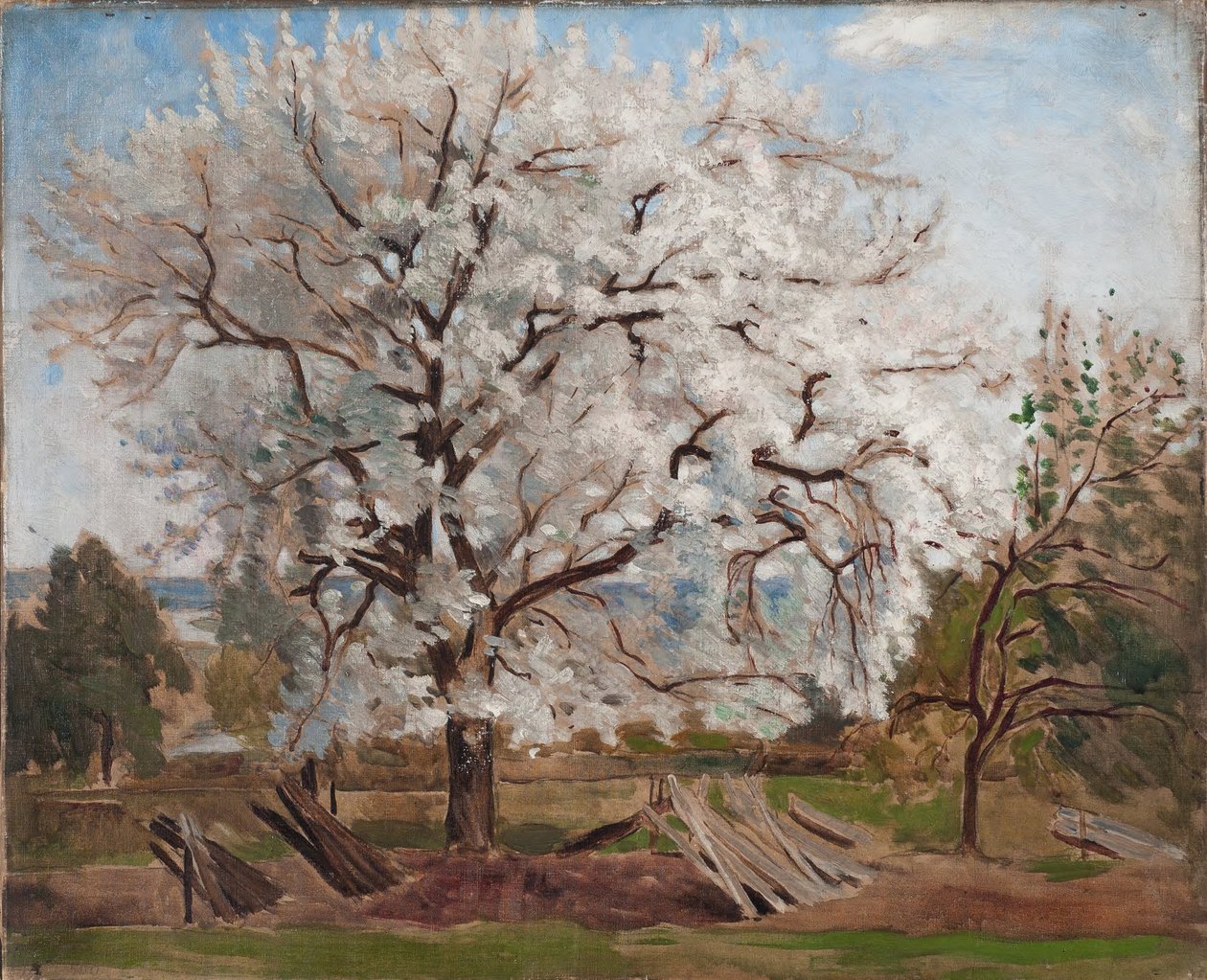 Macieira em flor de Carl Fredrik Hill