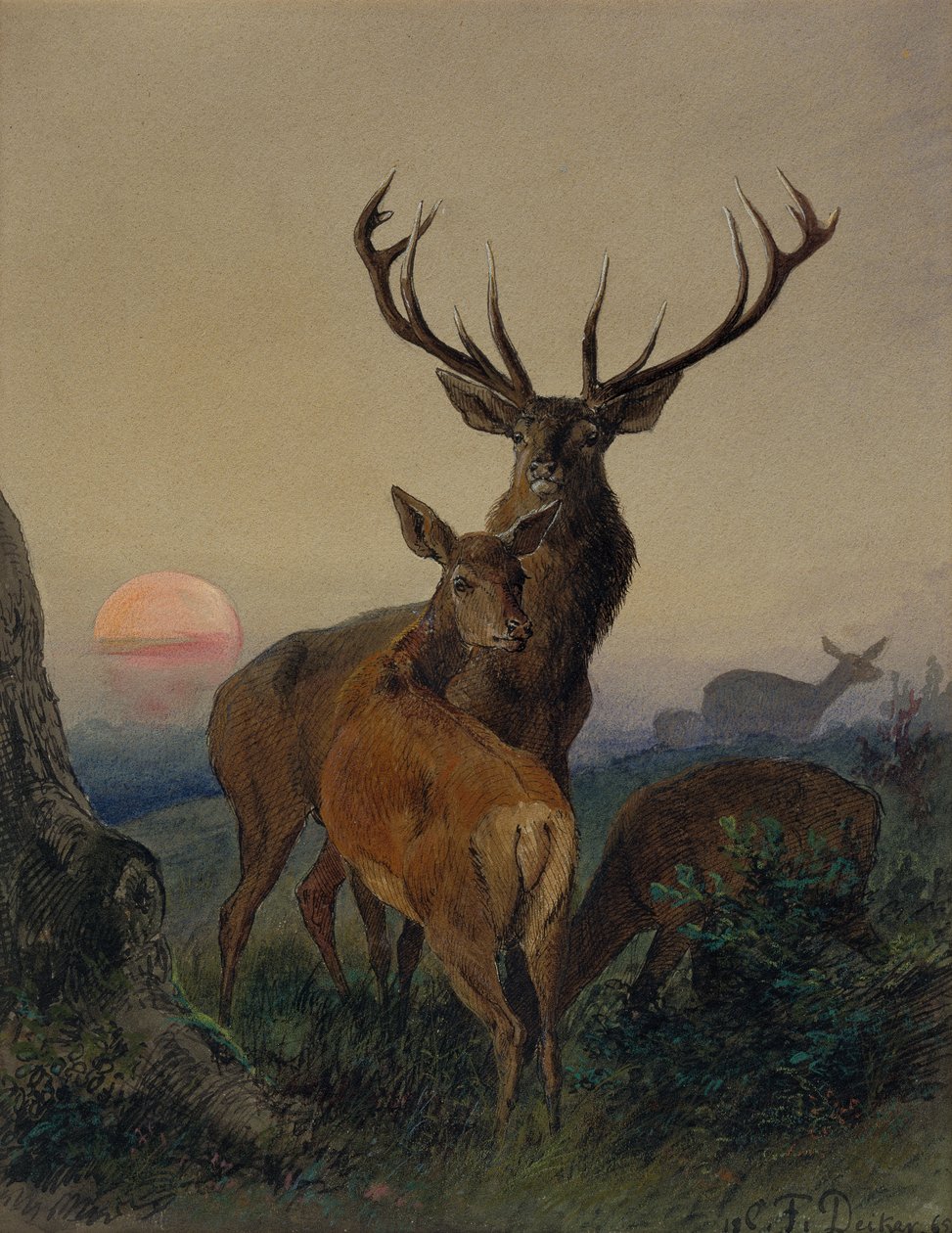 Um veado com um veado numa paisagem arborizada ao pôr-do-sol de Carl Friedrich Deiker