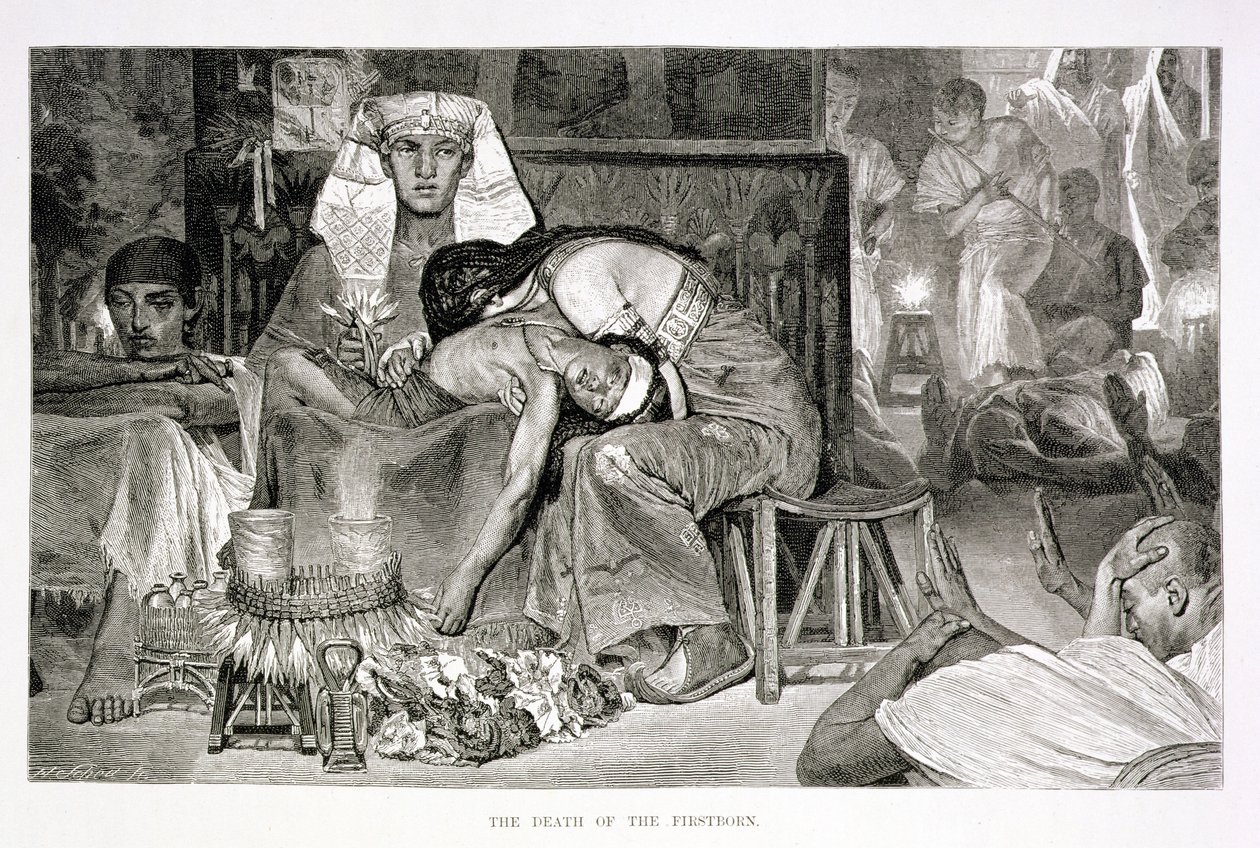 A morte do primogênito, século XIX (gravura em papel) de Carl Friedrich Heinrich Werner