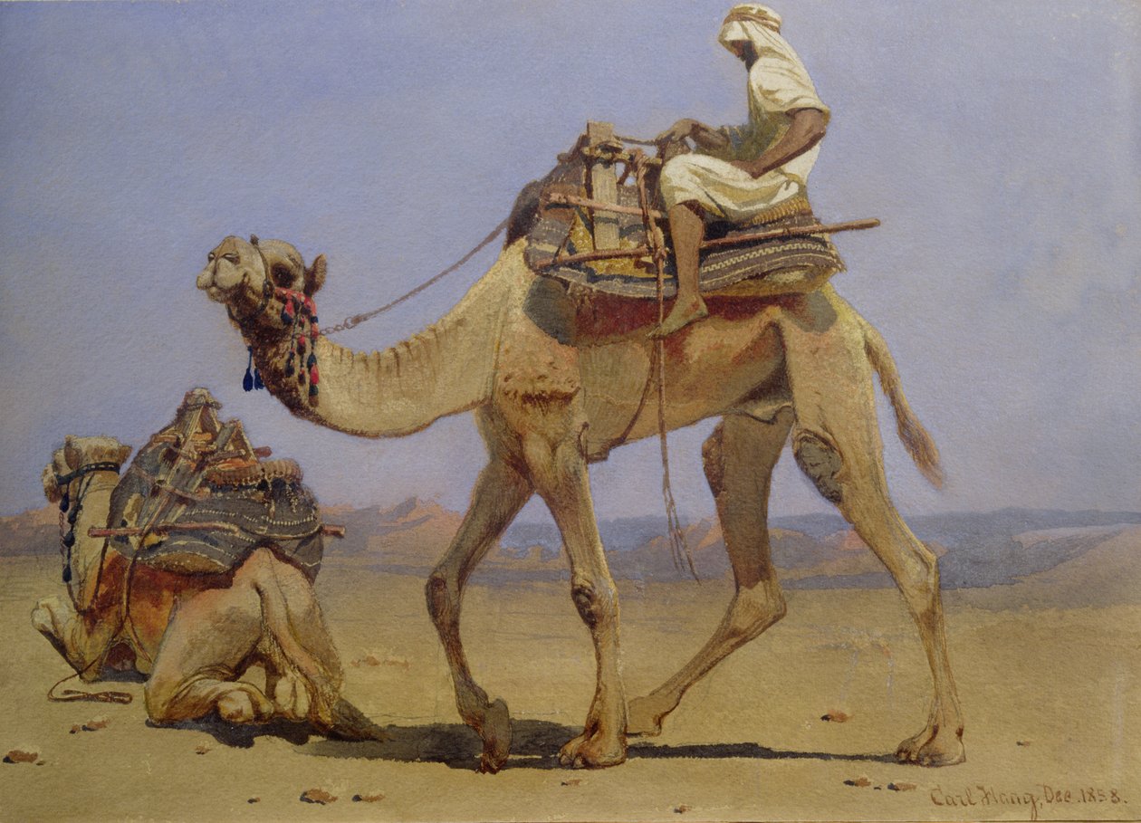 Camelo preparando-se para deitar-se, 1858 de Carl Haag