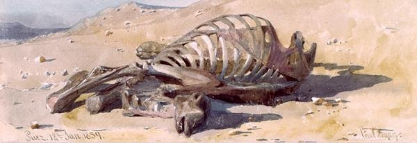 The Bones of a Camel, Suez de Carl Haag