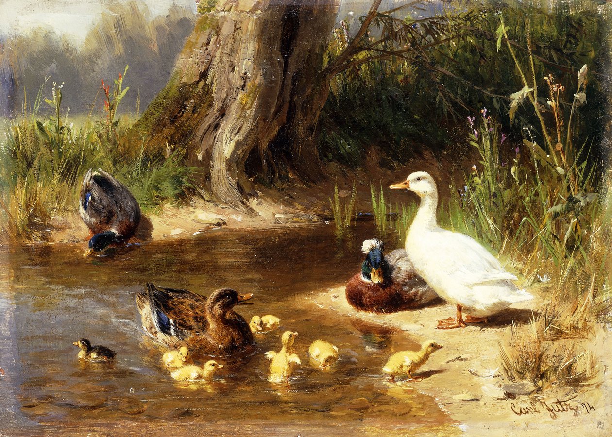 Patos à beira da água, 1874 de Carl Jutz
