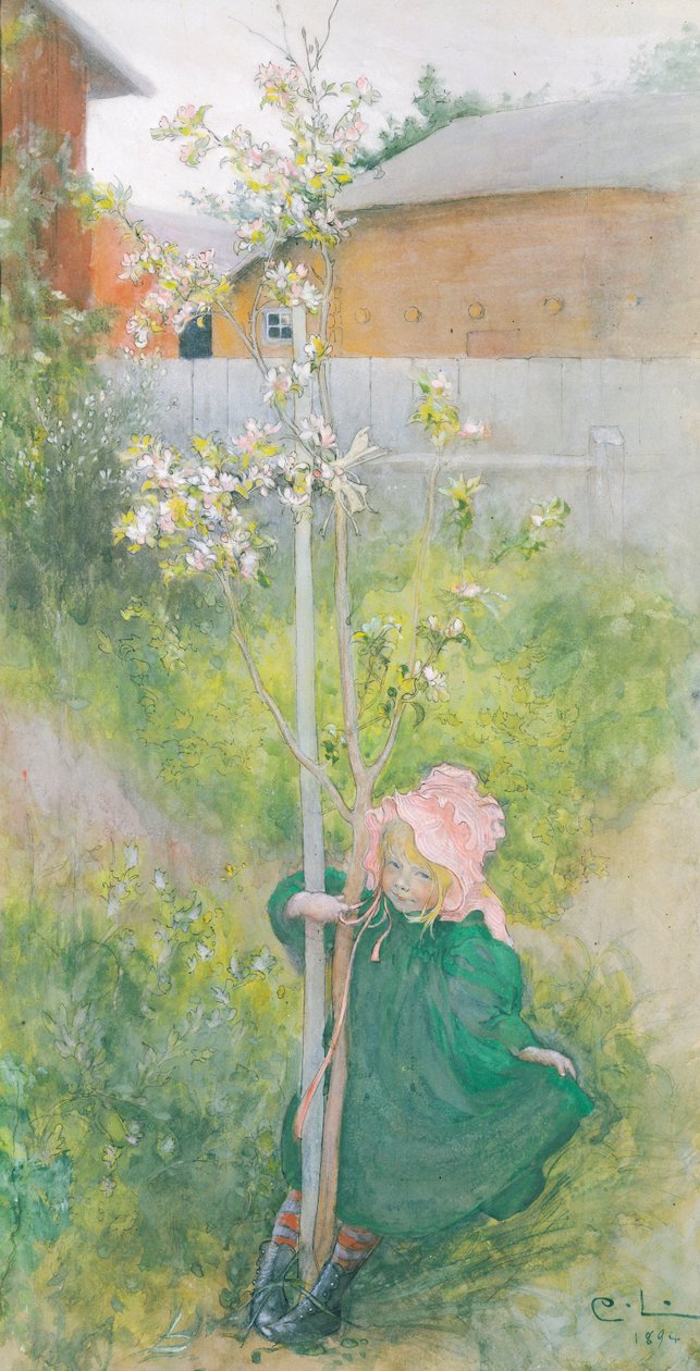 Appleblossom, 1894 de Carl Larsson