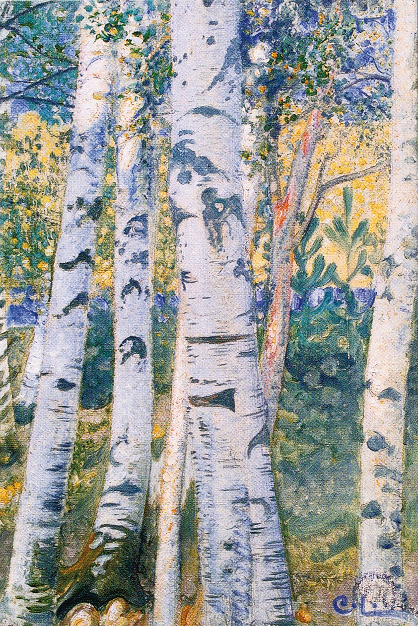Árvores de vidoeiro, 1910 de Carl Larsson