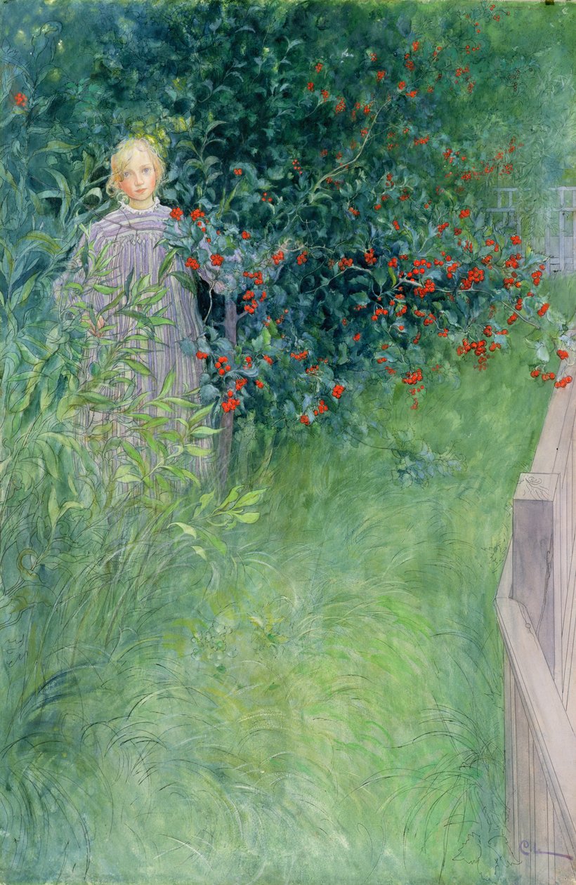 Na cerca de Hawthorn de Carl Larsson