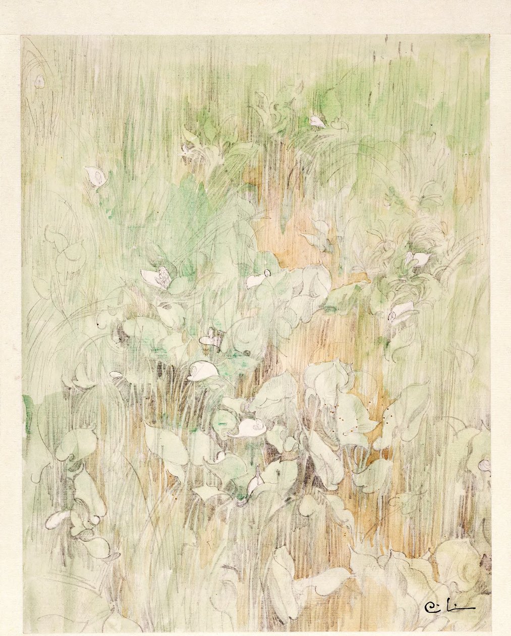 Kallor de Carl Larsson