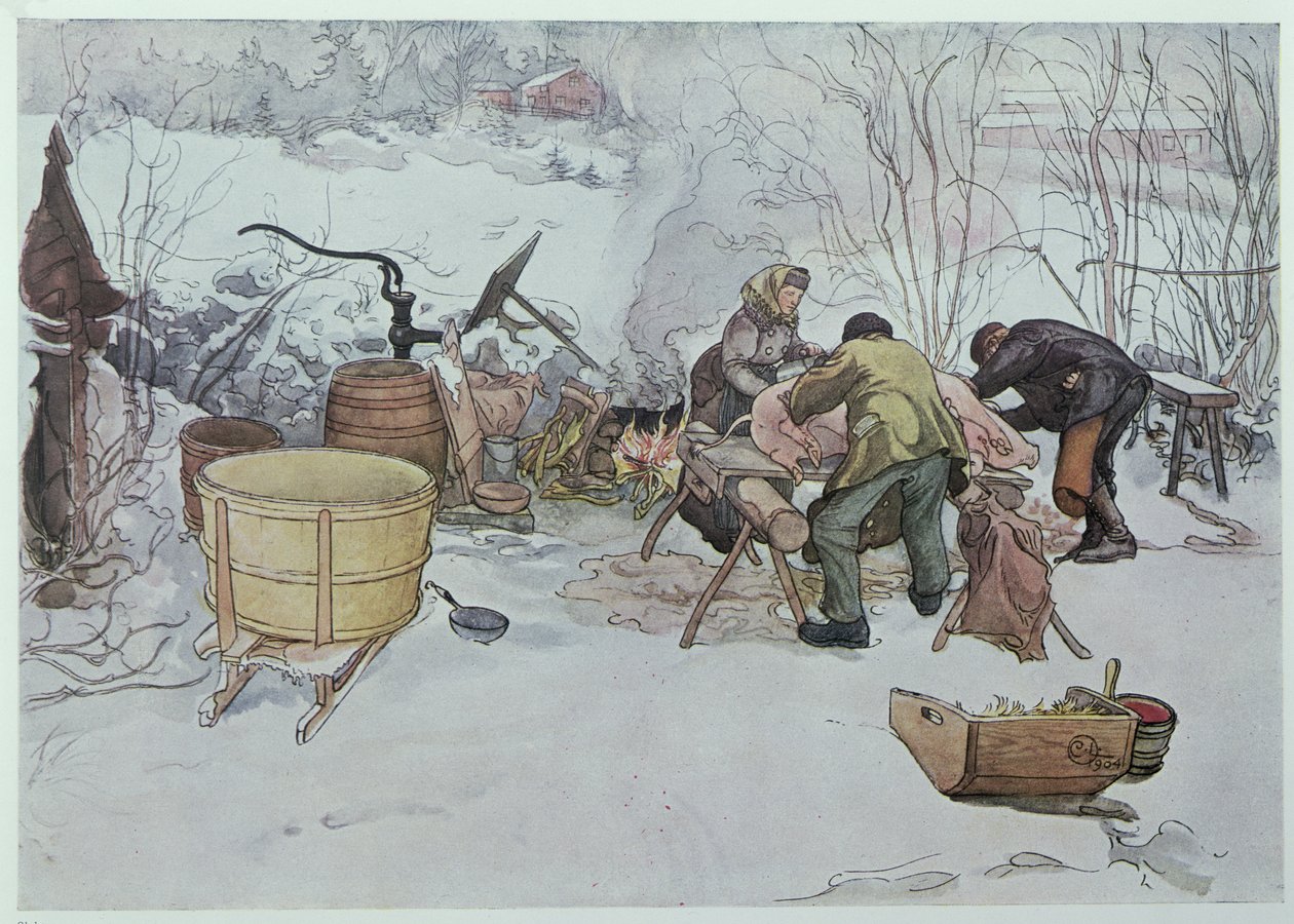 &39;Killing the Pig&39;, ilustração para &39;My Little Farm&39;, publicado na Suécia, 1904 de Carl Larsson