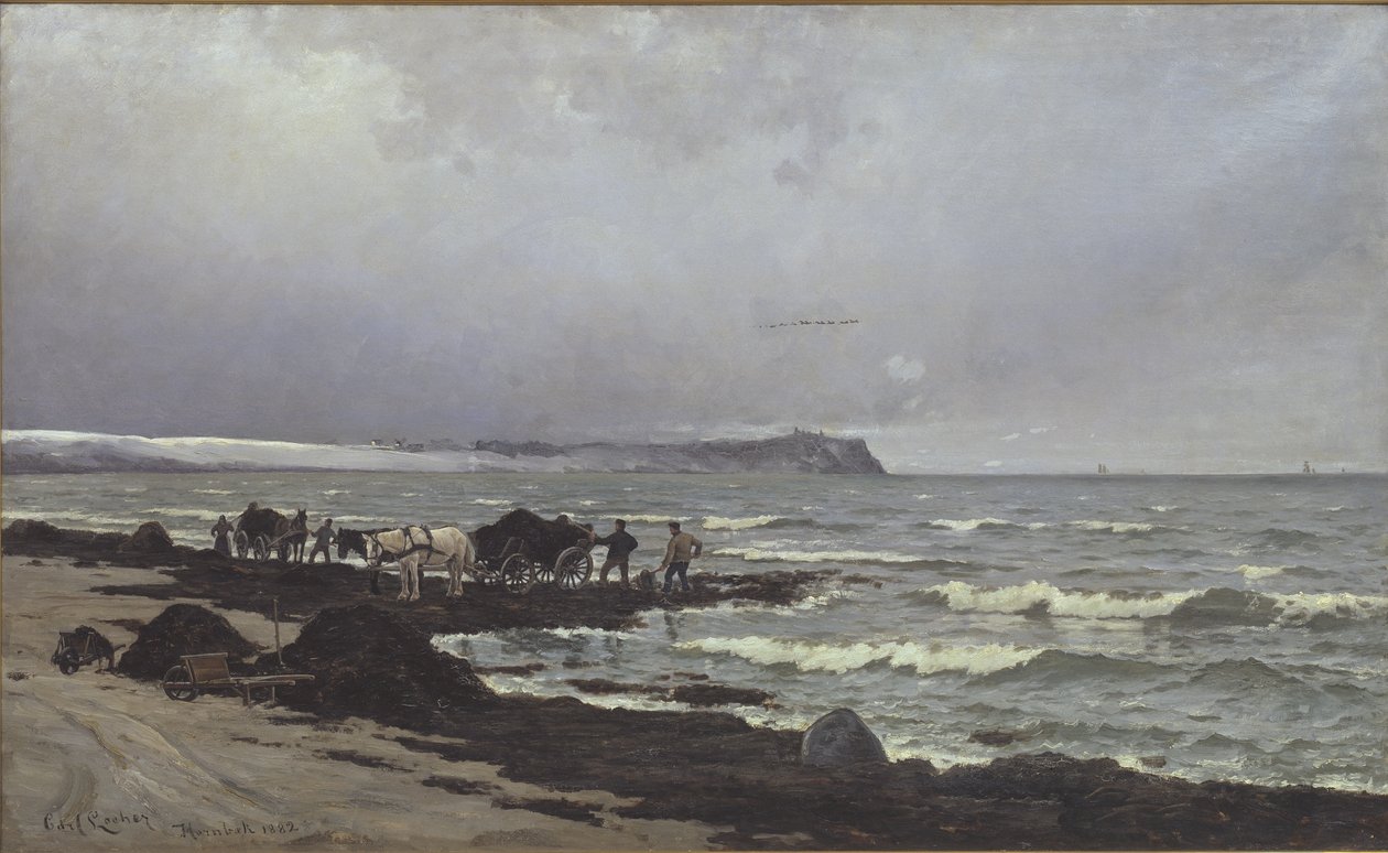 Algas estão sendo carregadas em Hornbæk Strand de Carl Locher
