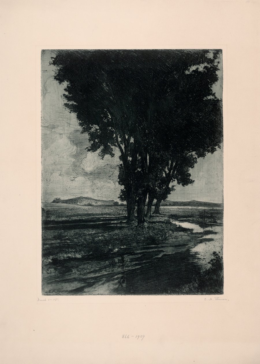 álamos negros de Carl Maria Thuma
