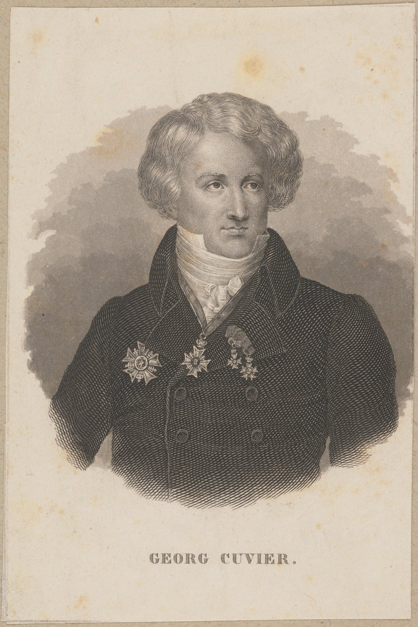 Georges Cuvier (1769 Montbéliard - 1832 Paris) - zoólogo francês, fundador da paleontologia de Carl Mayer