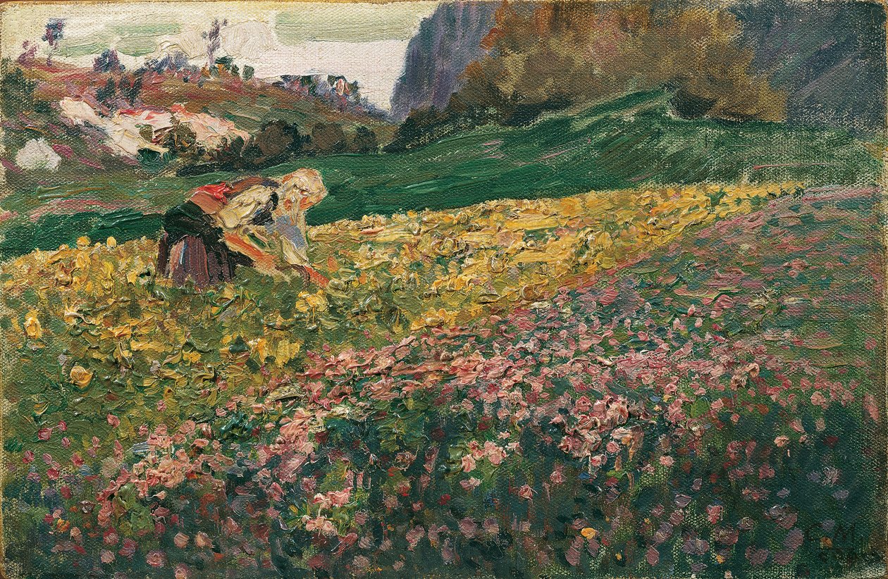 Garota no prado de flores de Carl Moll