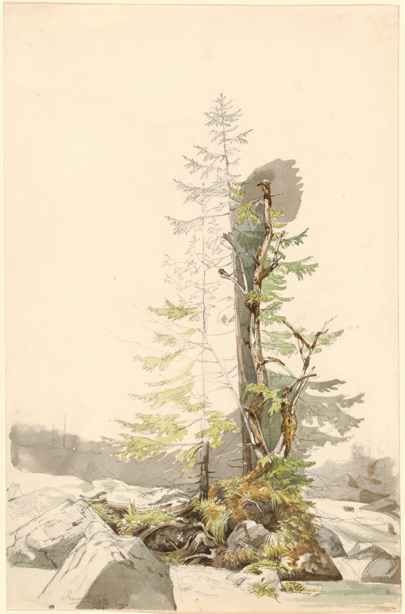 Um aglomerado de árvores junto a um ribeiro rochoso em Ramsau de Carl Morgenstern