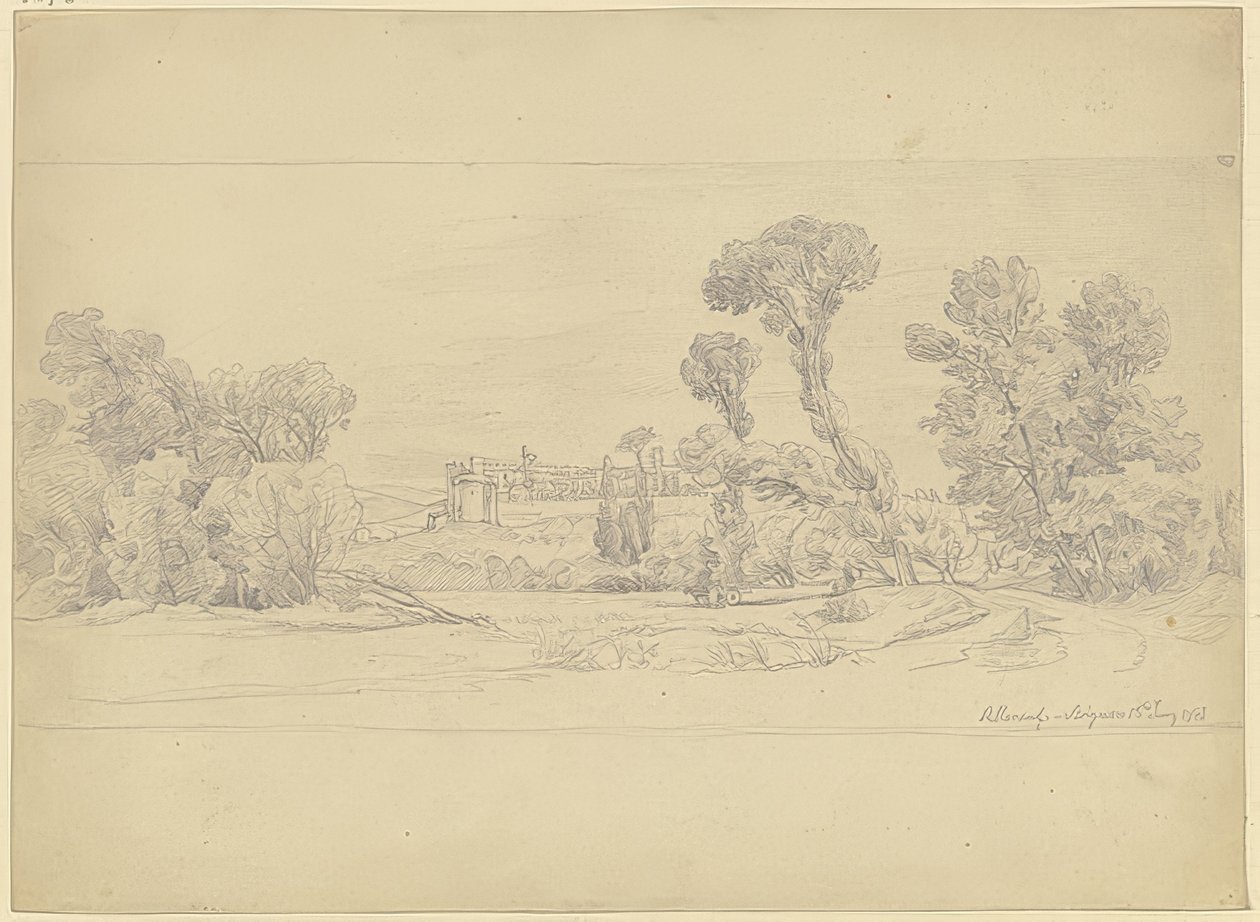 Estudo de árvores na área de Villeneuve, perto de Avignon de Carl Morgenstern