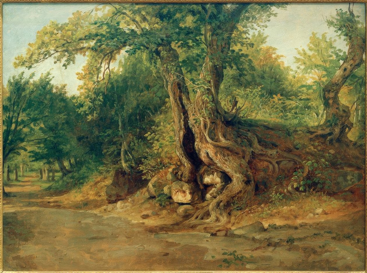 C.Morgenstern, bosque perto de Ariccia com azinheiras de Carl Morgenstern