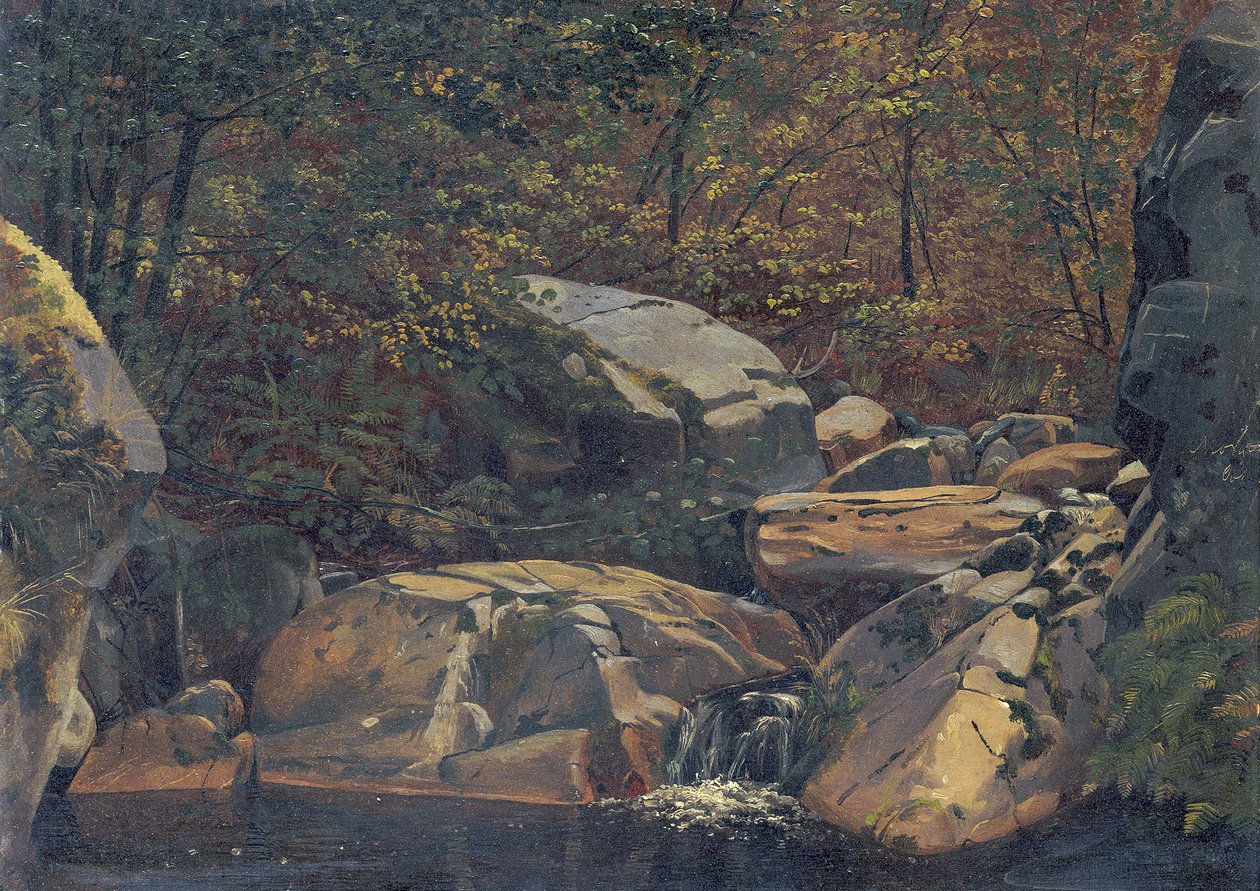 Ribeiro na floresta (Cascata entre blocos rochosos) de Carl Morgenstern