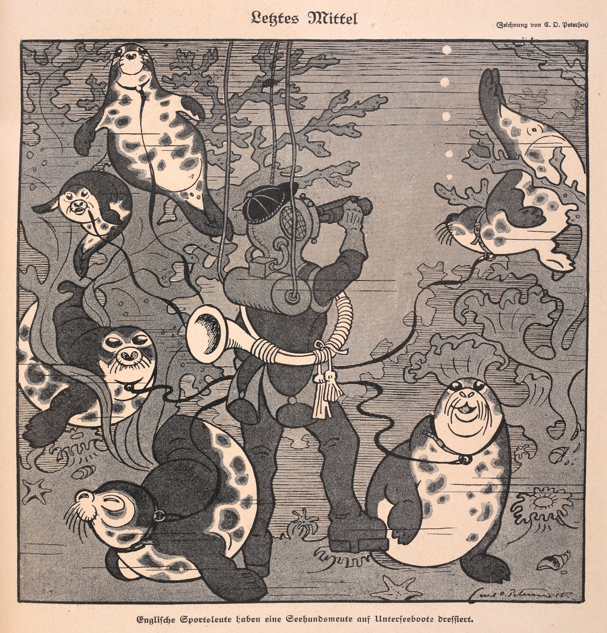 Último recurso: último recurso. Um mergulhador com focas; cena subaquática de Carl Olof Petersen