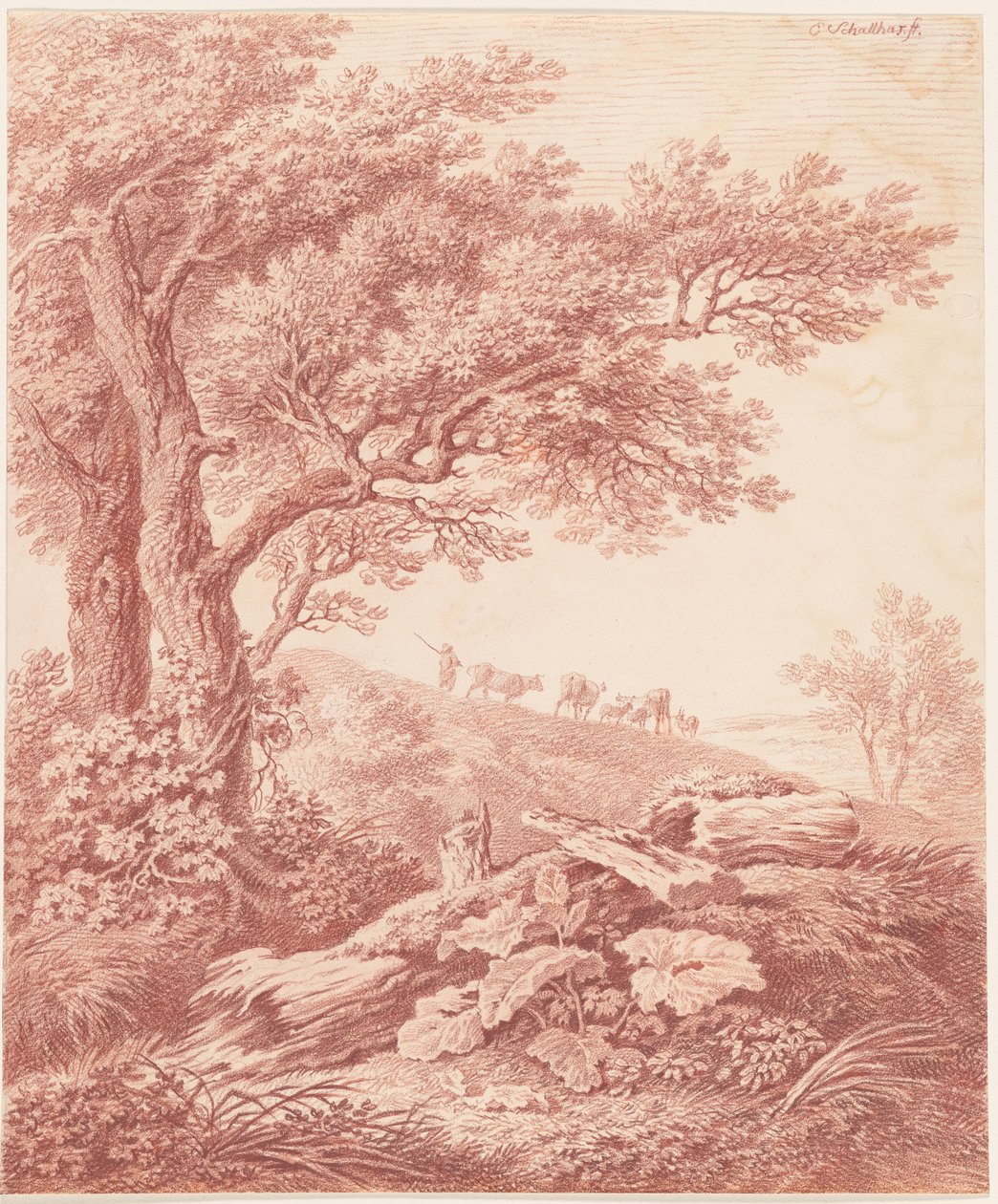 Árvores antigas em uma paisagem pastoral de Carl Philipp Schallhas