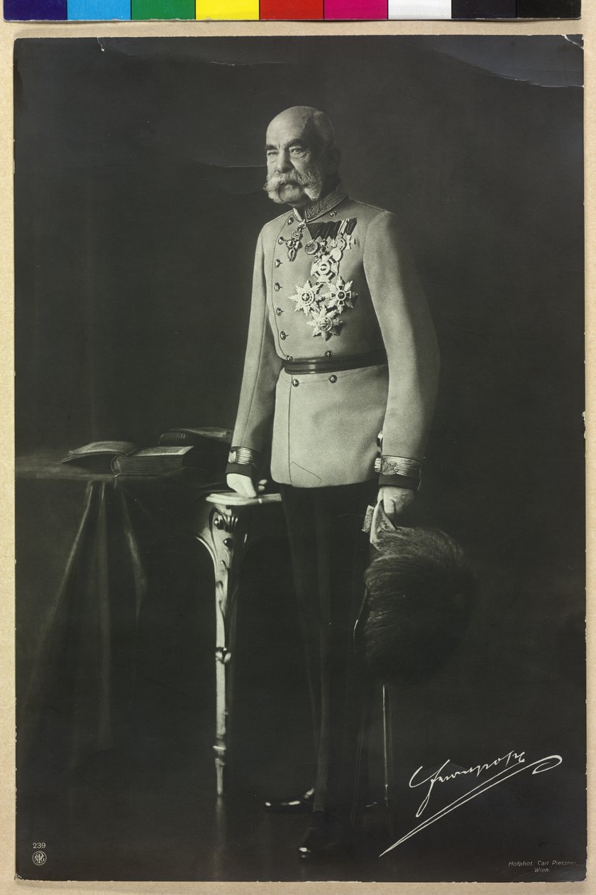 Francisco José I de Carl Pietzner