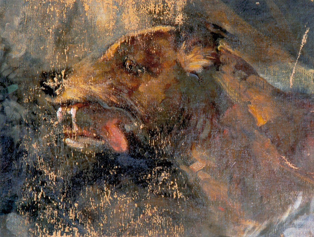 cabeça de cachorro de Carl Rudolf Huber