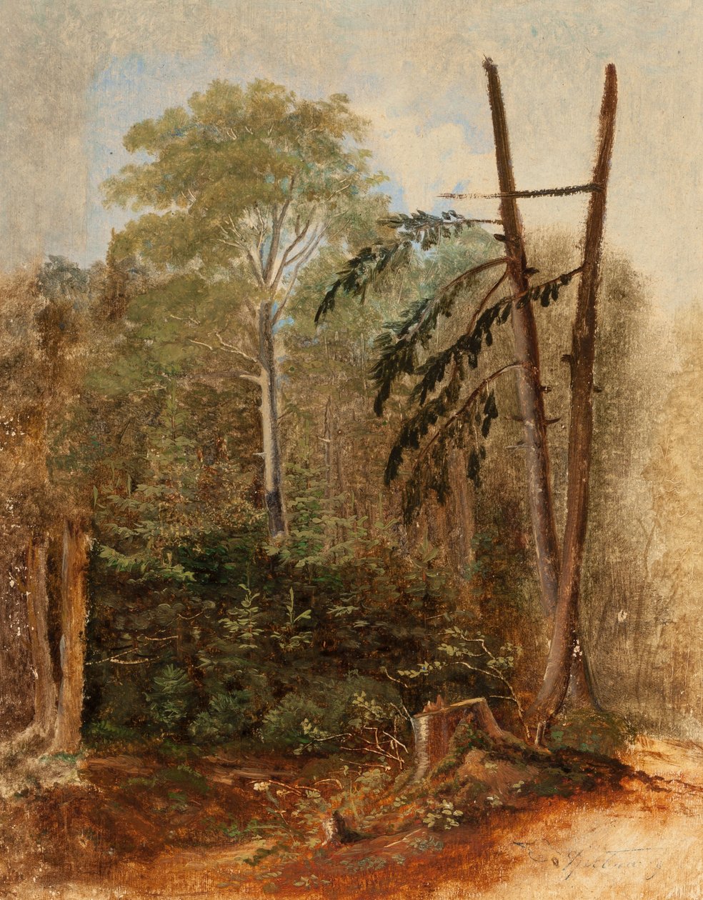 Estudo de uma paisagem florestal de Carl Spitzweg