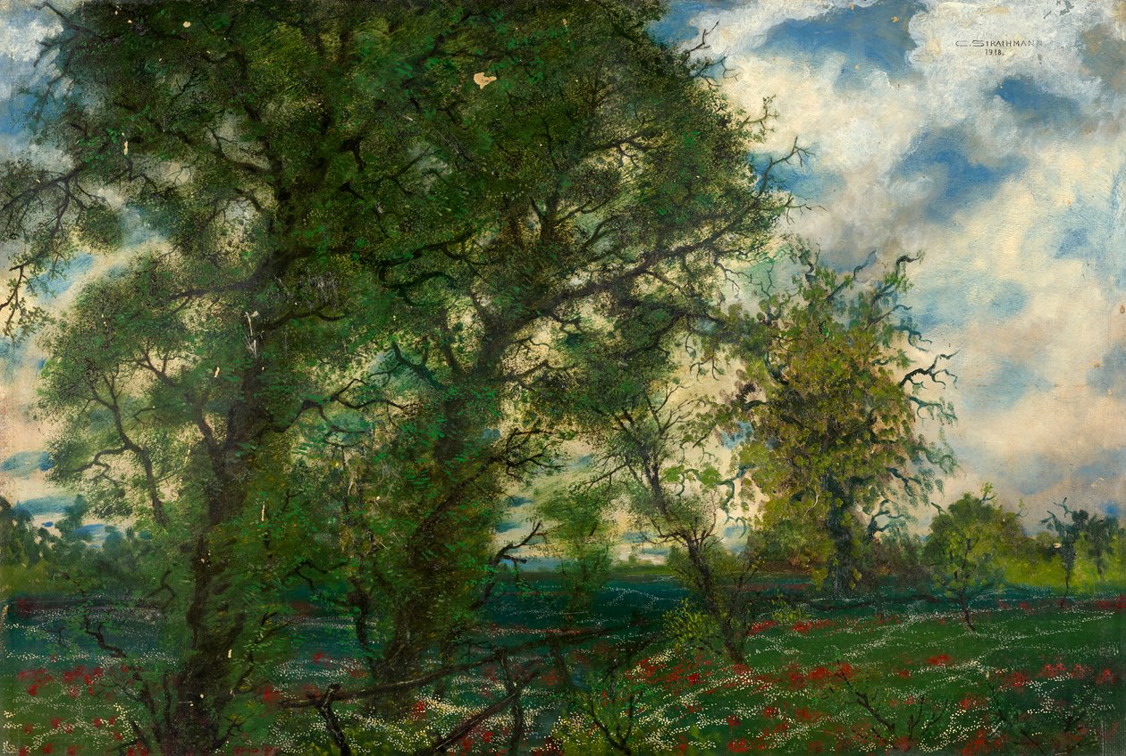 paisagem de primavera de Carl Strathmann