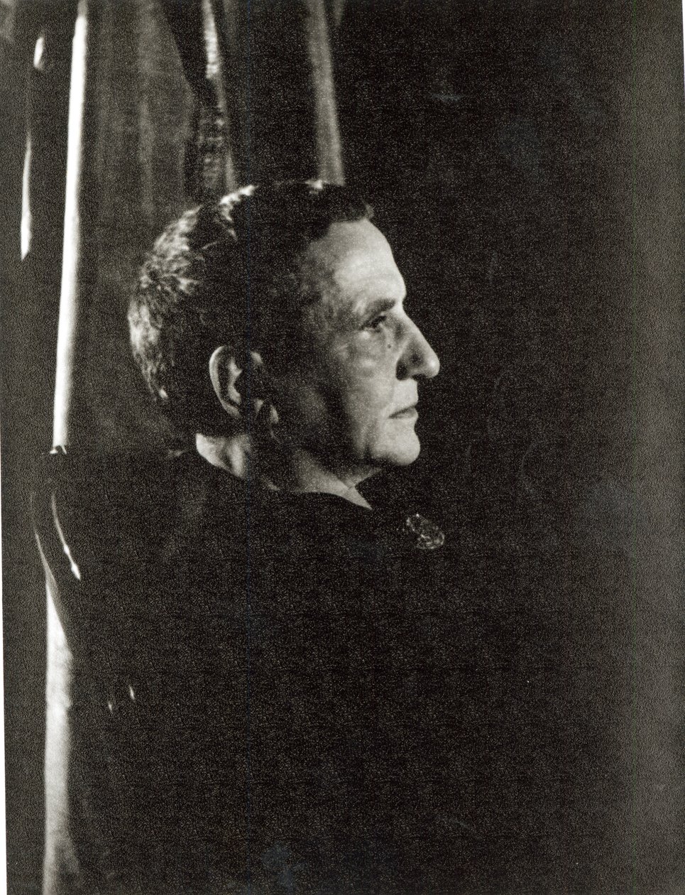 Gertrude Stein (1874-1946) 4 de novembro de 1934 (impressão em gelatina e prata) de Carl Van Vechten