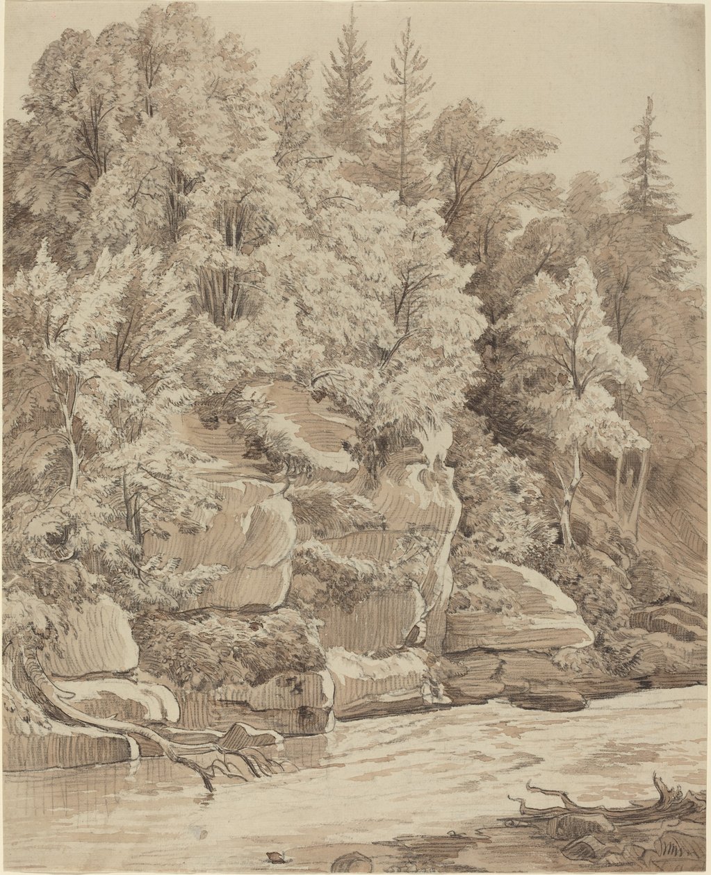 Penhascos arborizados ao longo de um córrego de Carl Wagner